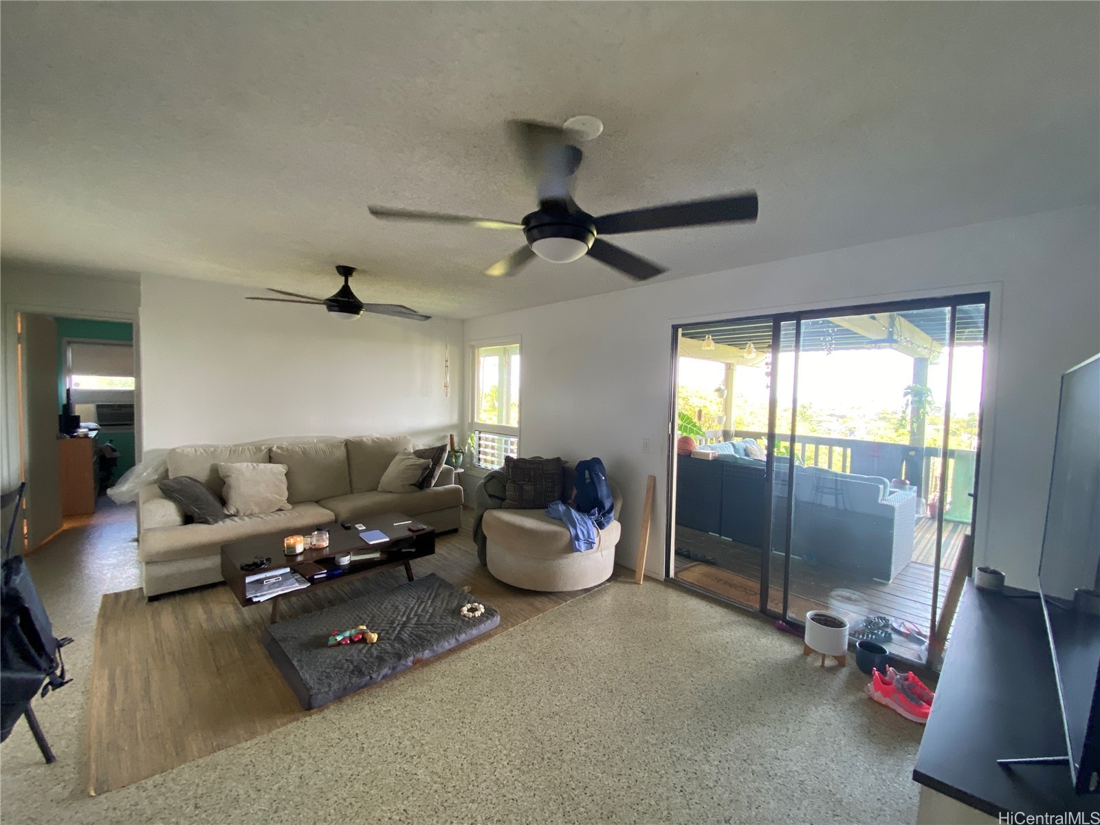 1002 Koohoo Place lower