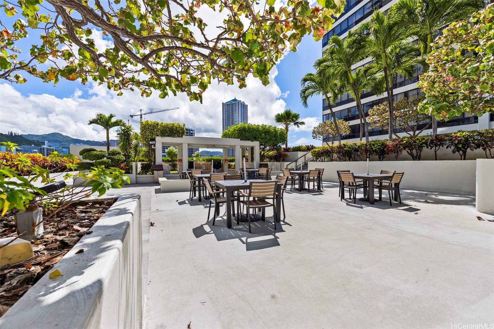 876 Curtis Street Unit: 96813