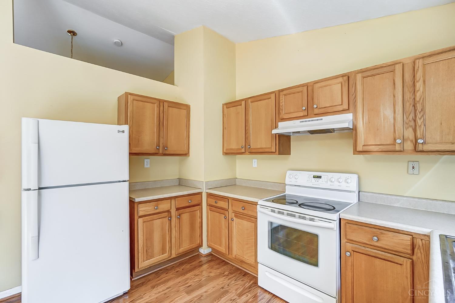 115 Hildebrant Drive