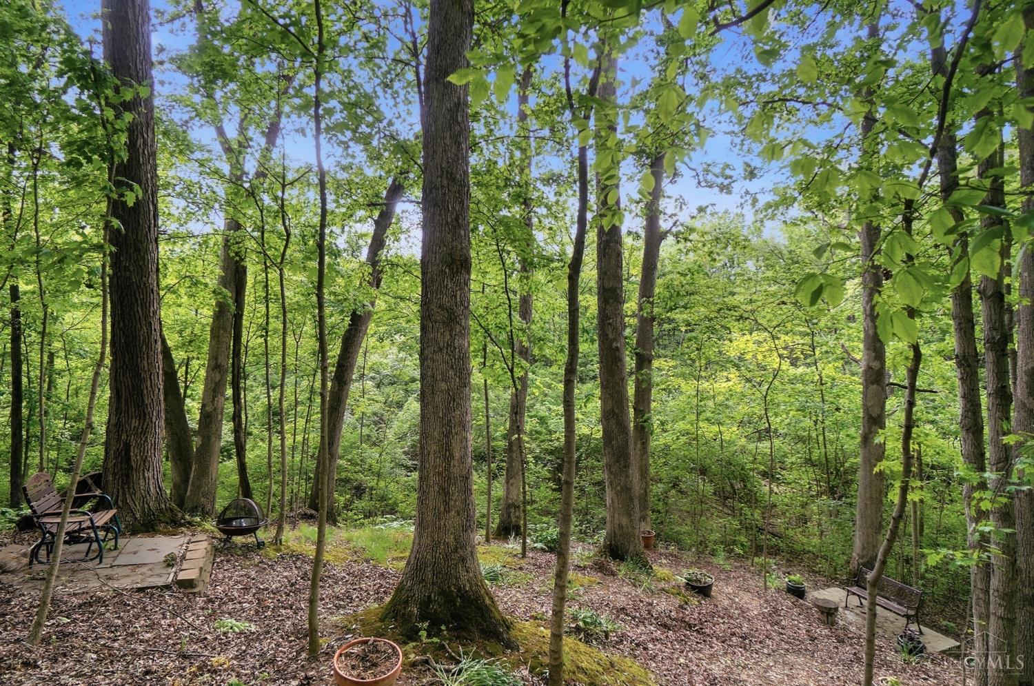 11768 Gable Glen Lane