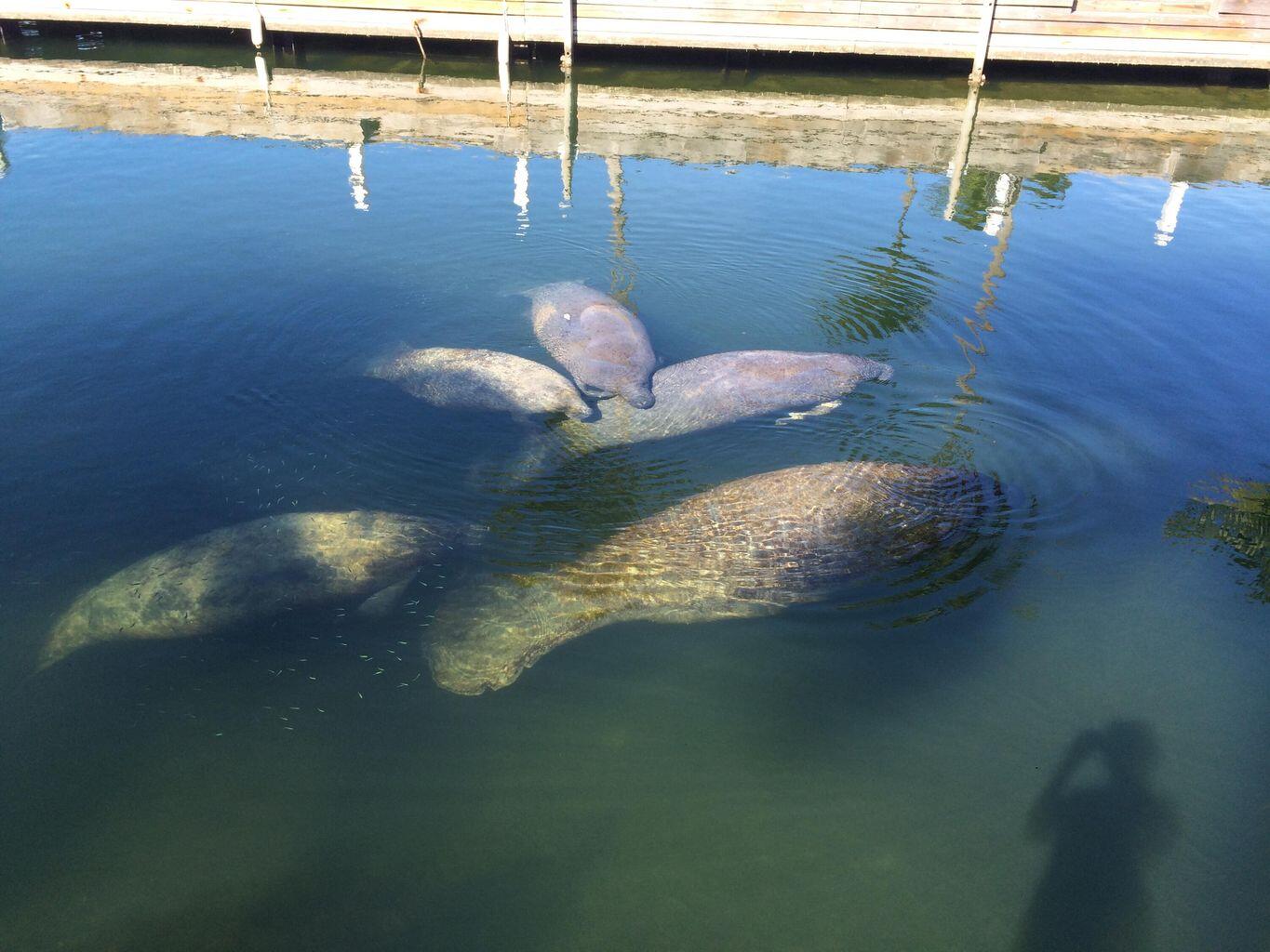 11600 1St Avenue Gulf Unit: 25