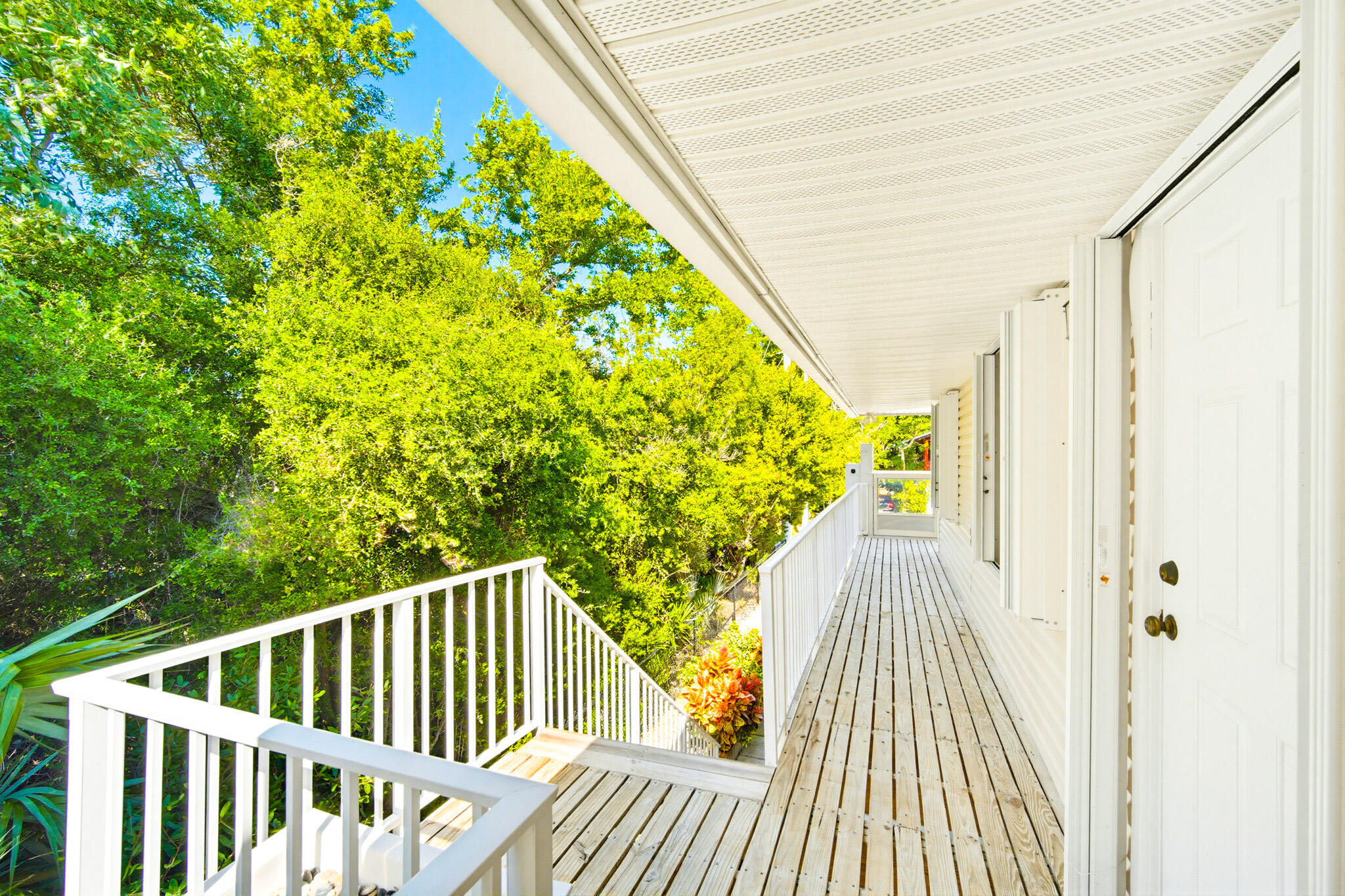 29112 Poinsettia Lane