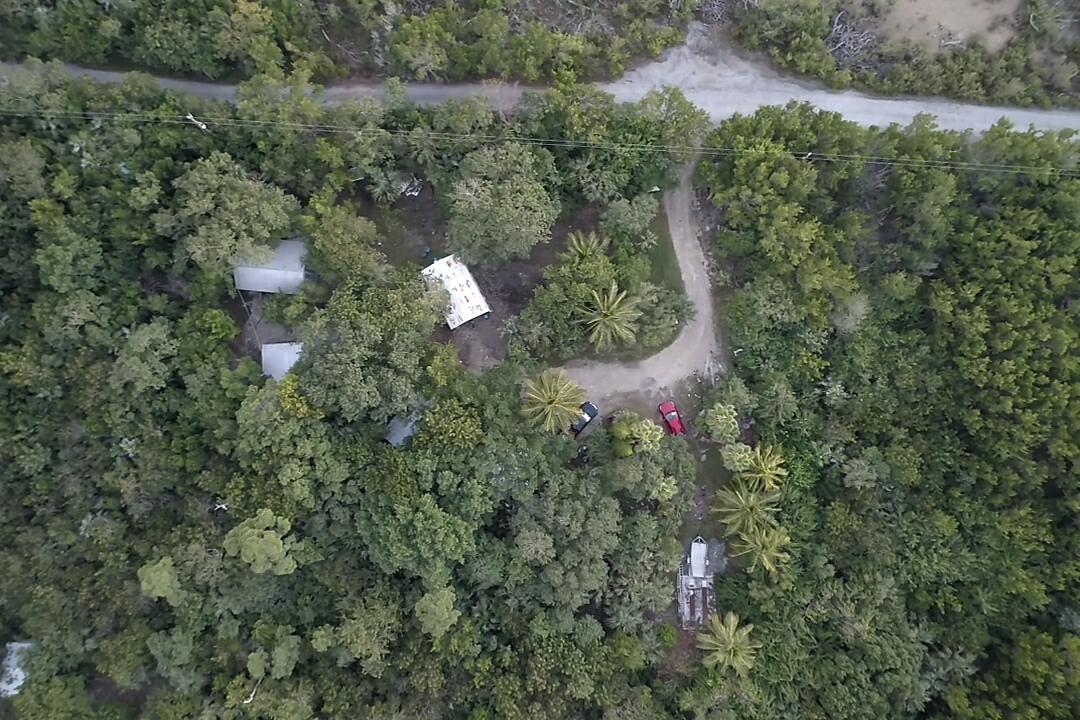 21857 Disturbed Pine Road