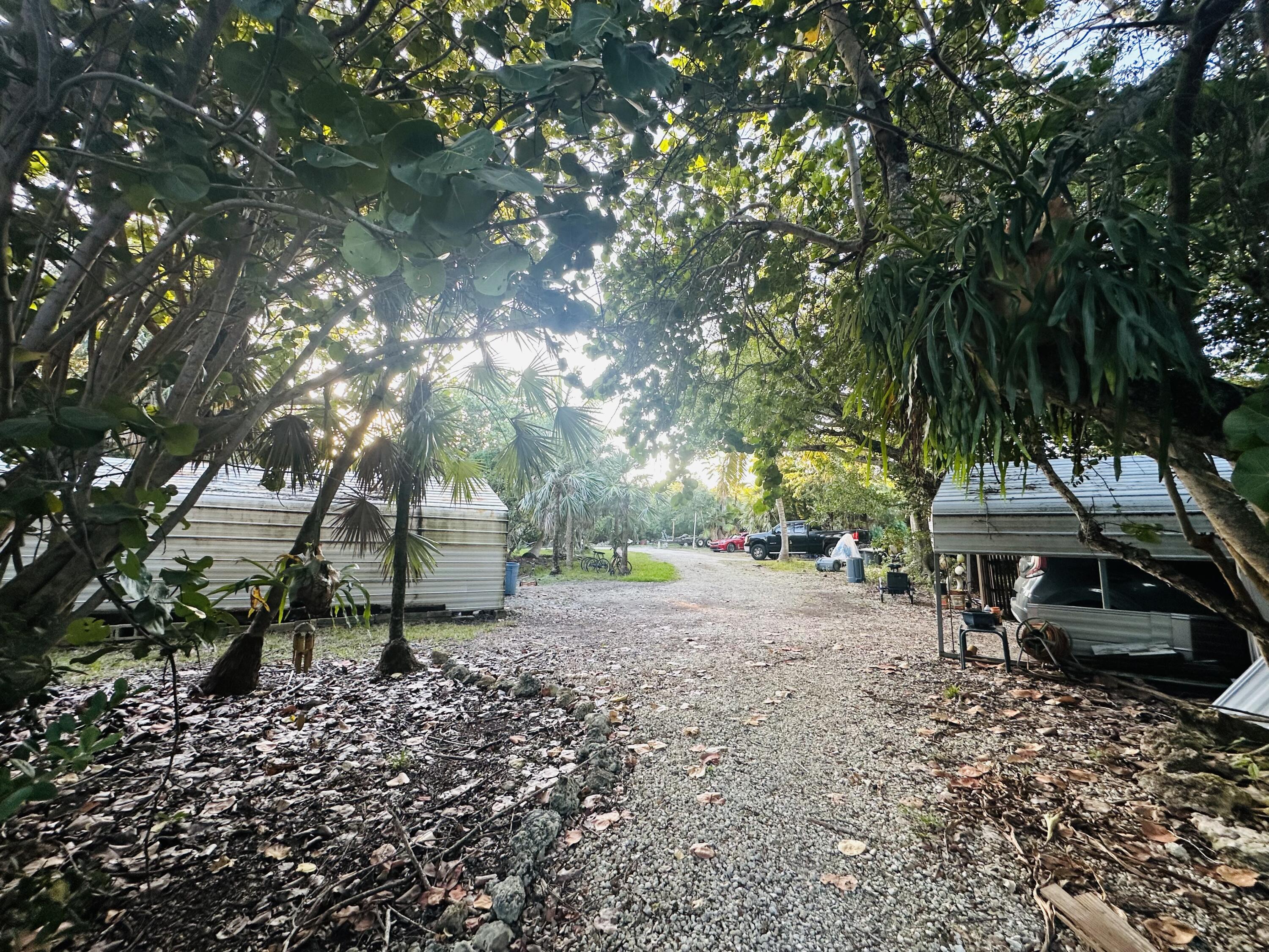 21857 Disturbed Pine Road