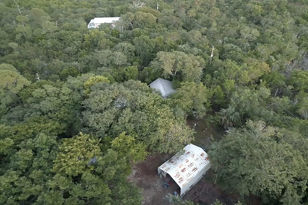 21857 Disturbed Pine Road