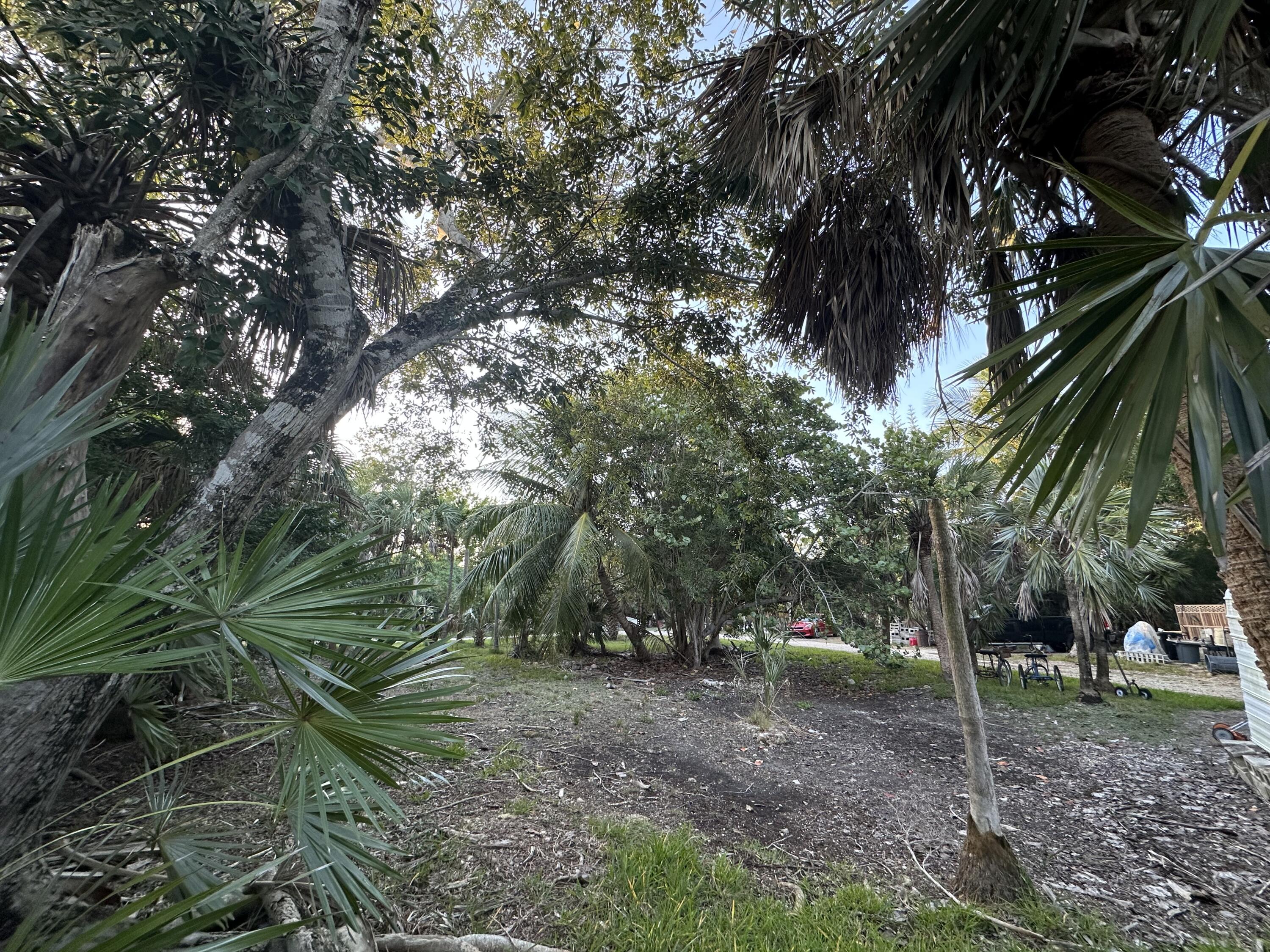 21857 Disturbed Pine Road