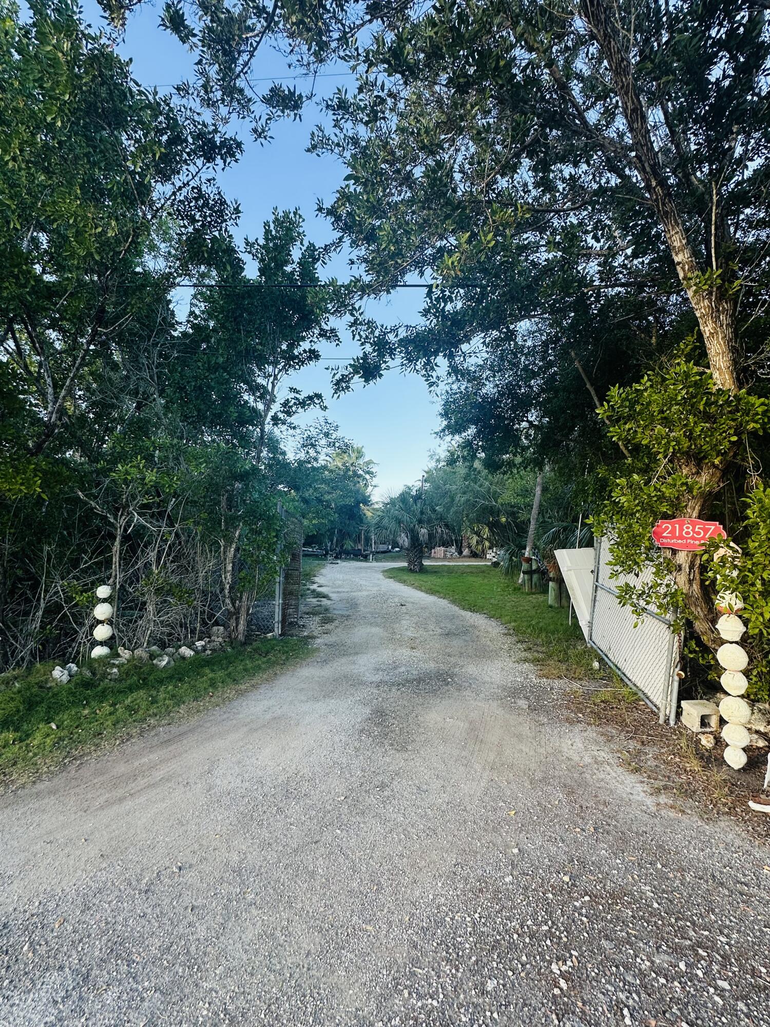 21857 Disturbed Pine Road