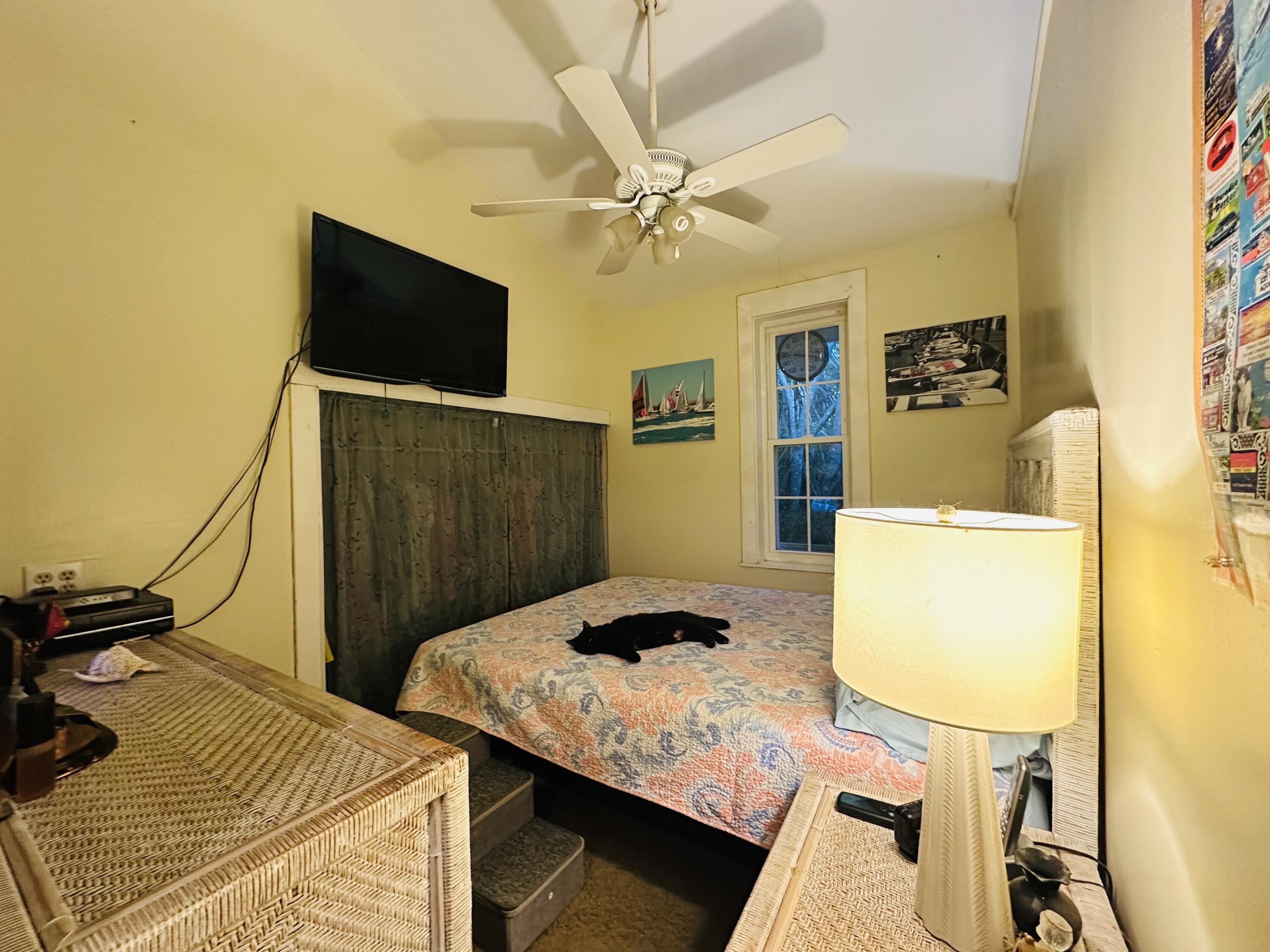 21857 Disturbed Pine Road