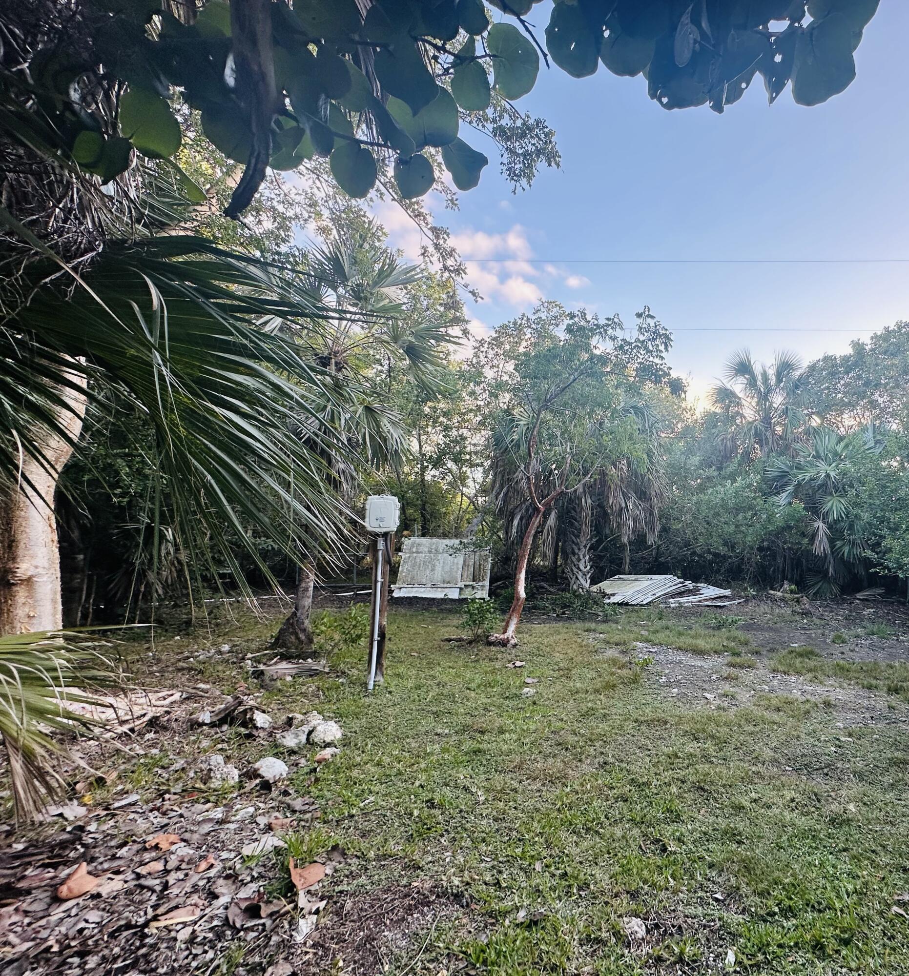 21857 Disturbed Pine Road