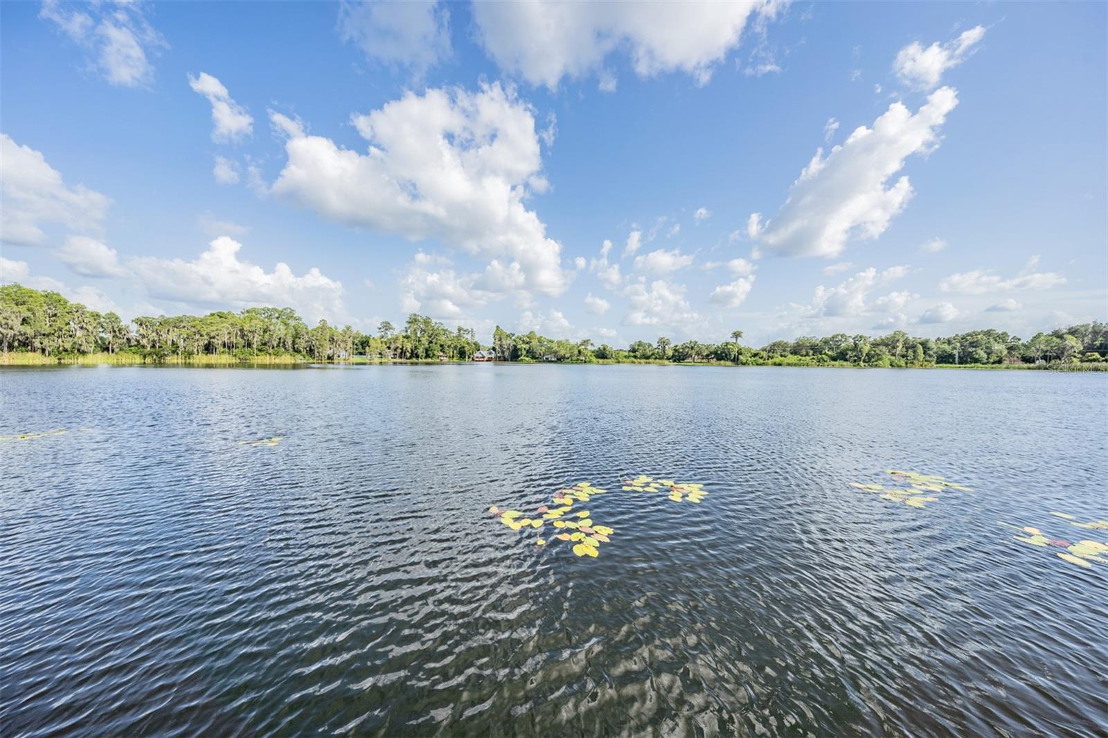 8505 KENTUCKY DERBY DR