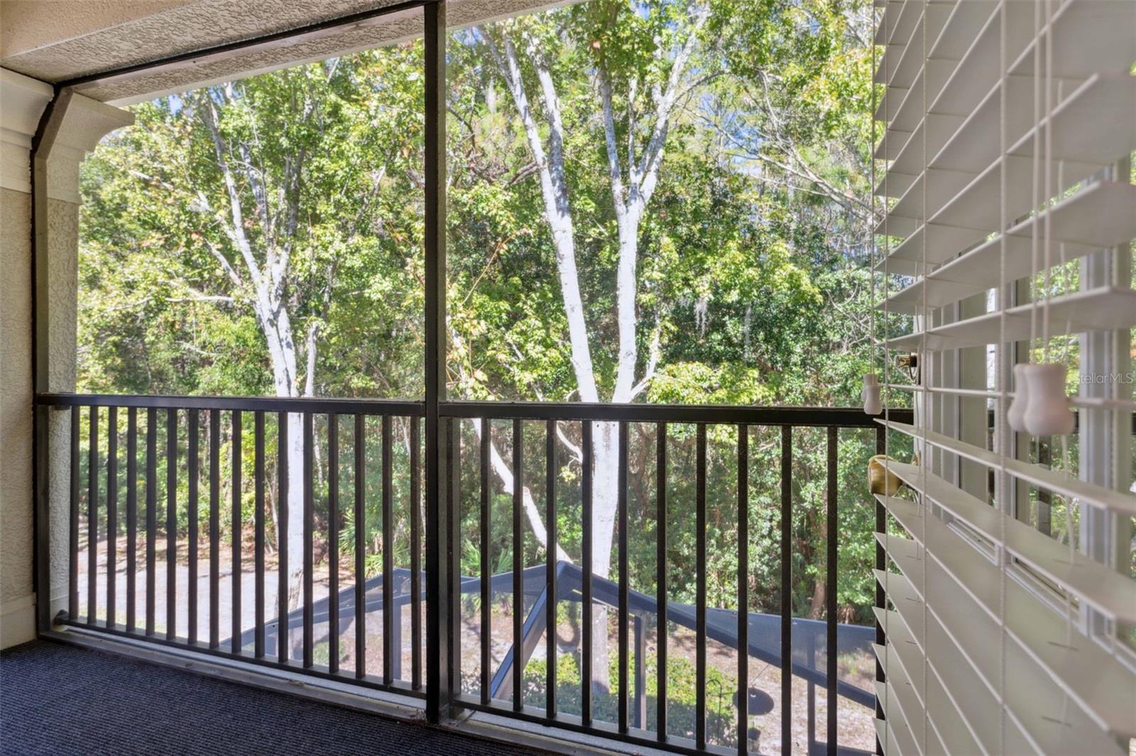 14627 MIRABELLE VISTA CIR