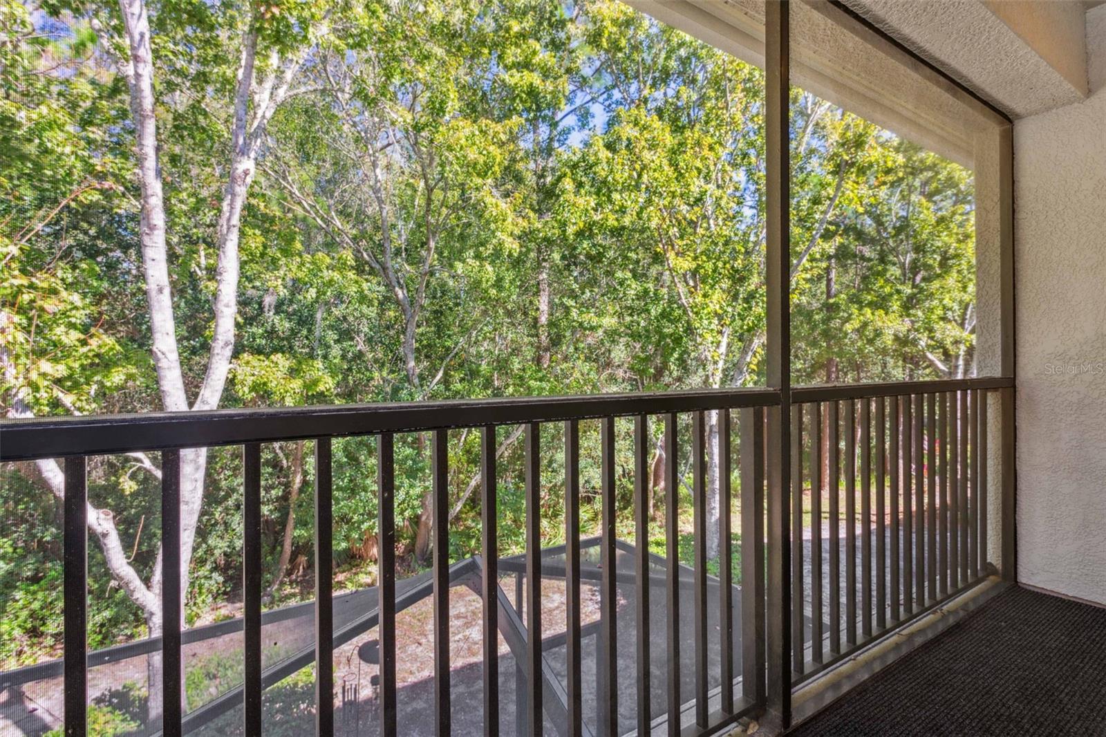 14627 MIRABELLE VISTA CIR