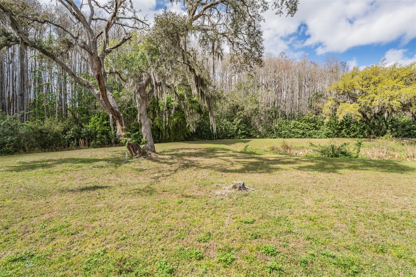 10507 QUIMBY DR