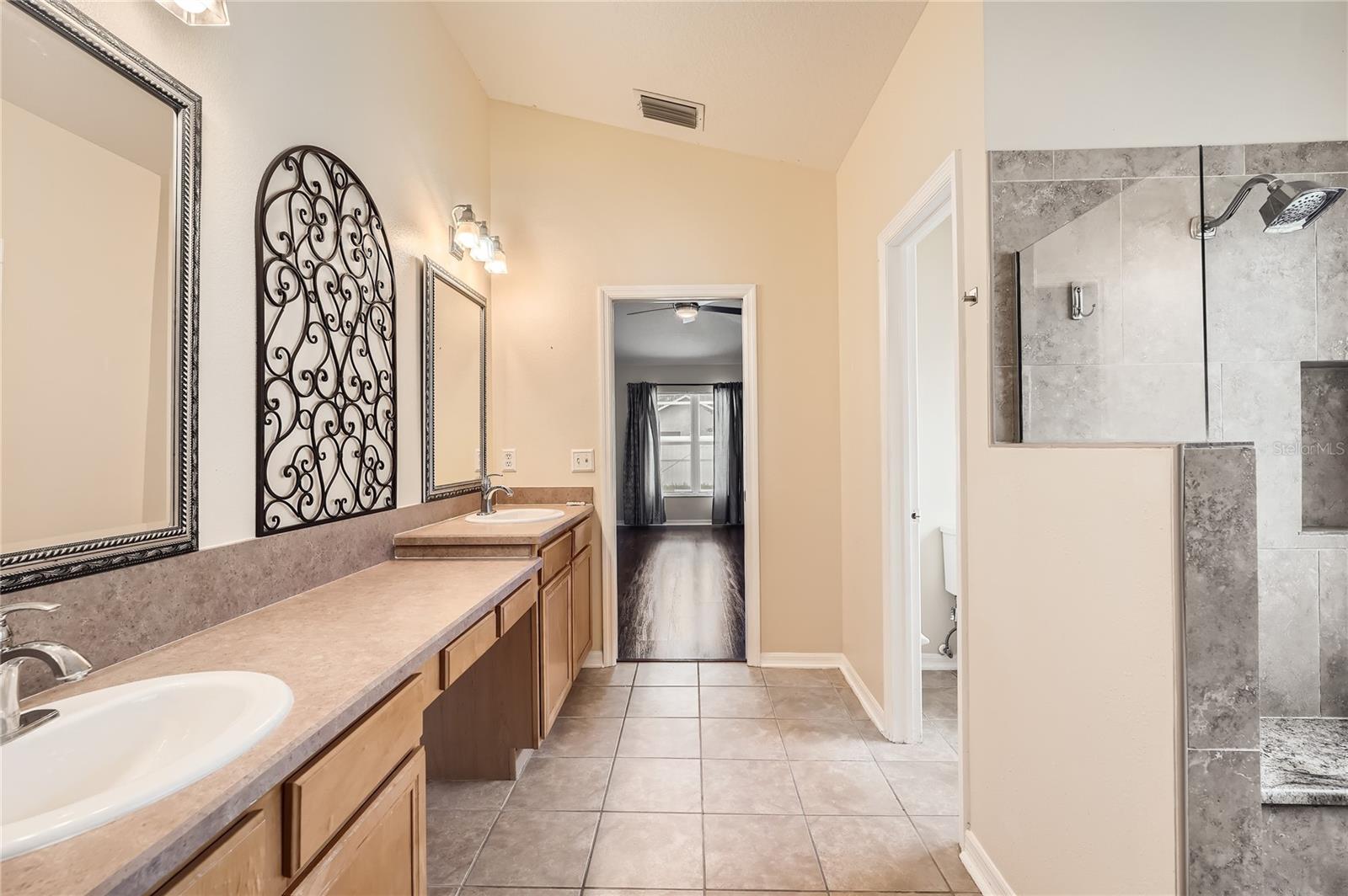 10541 SAN TRAVASO DR