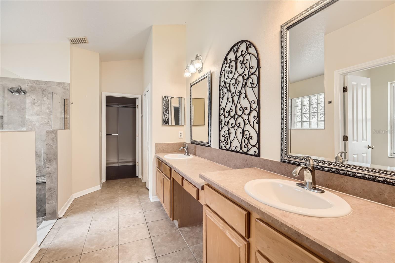 10541 SAN TRAVASO DR