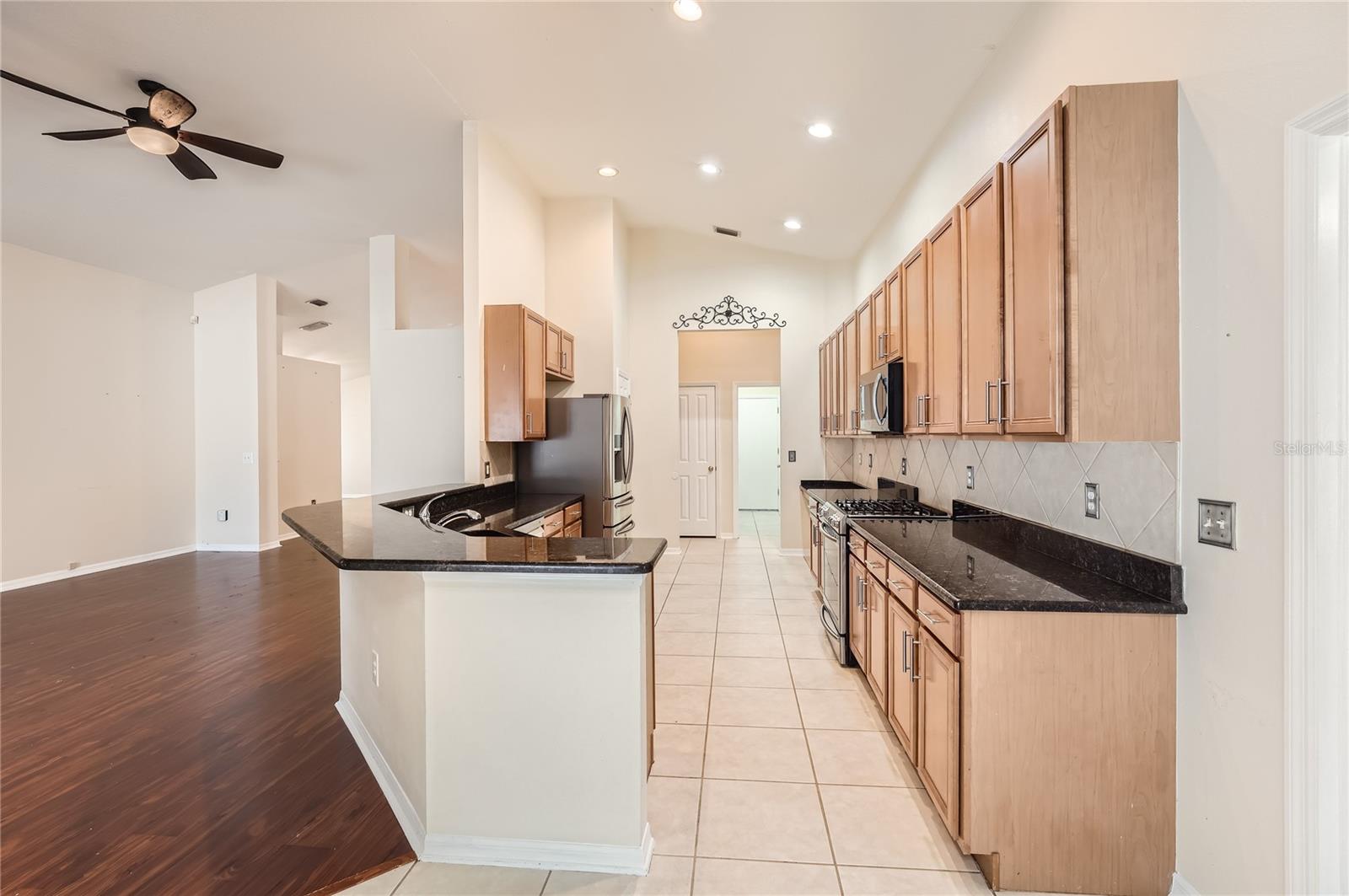 10541 SAN TRAVASO DR