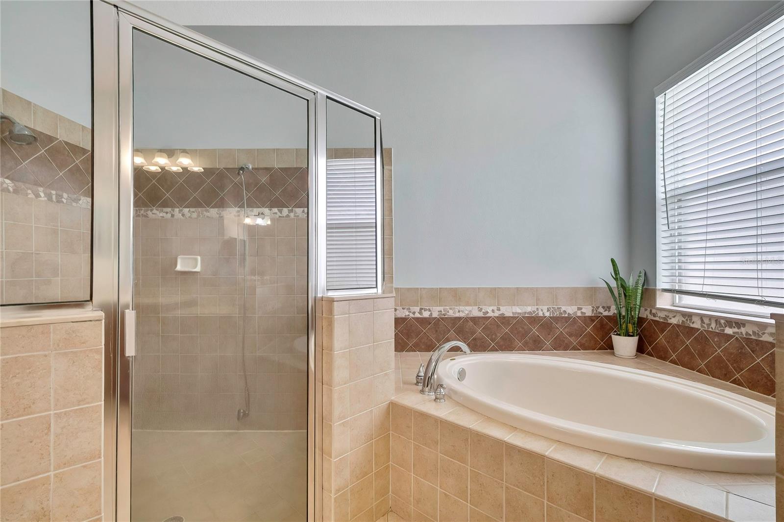 3247 DIAMOND FALLS CIR