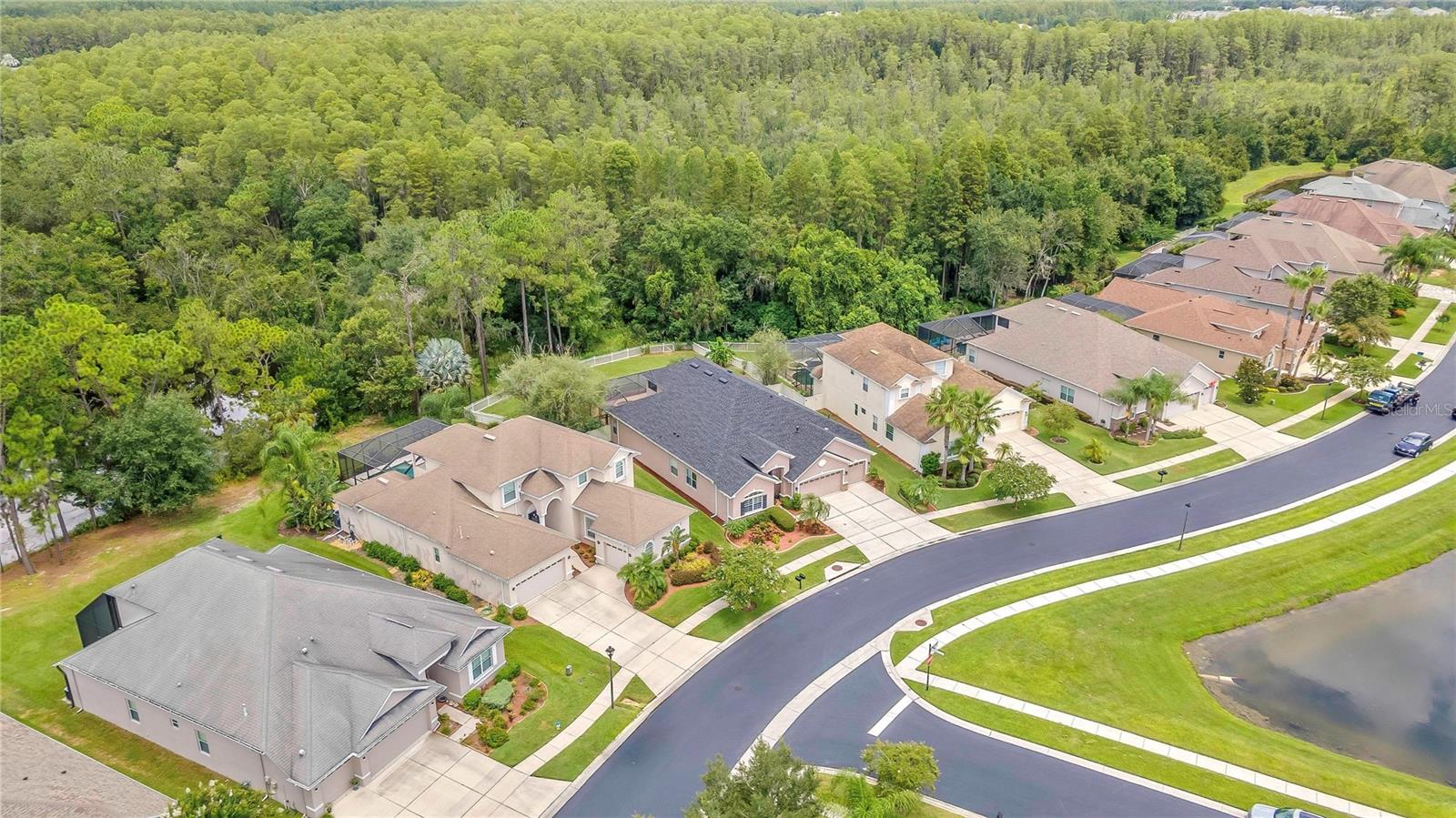 3247 DIAMOND FALLS CIR