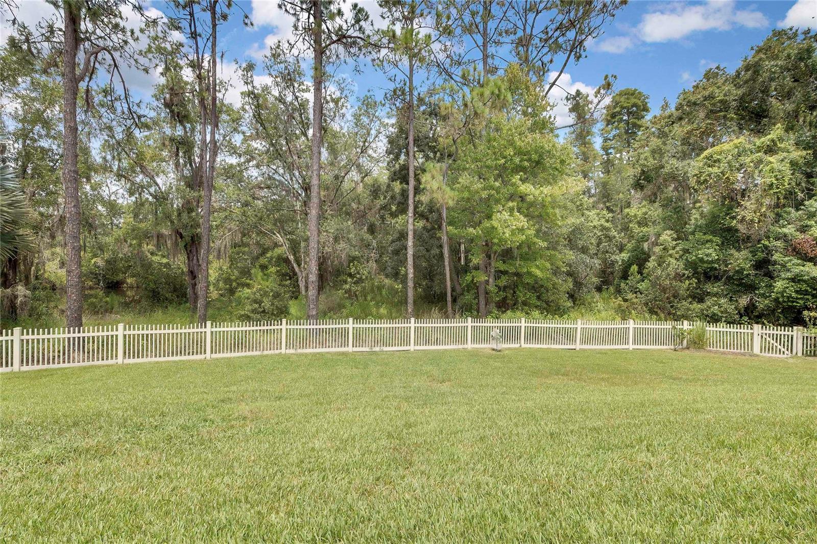 3247 DIAMOND FALLS CIR