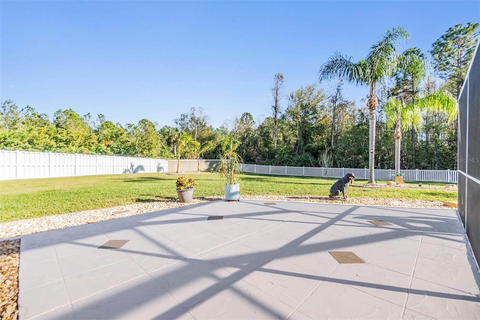 19829 MORDEN BLUSH DR