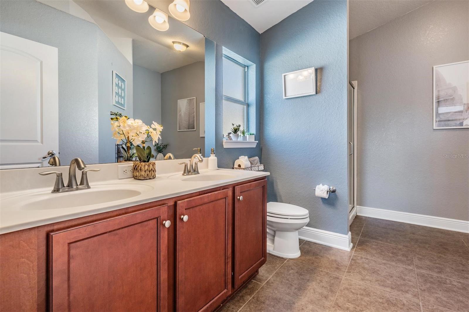 14356 EDINBURGH MOOR DR