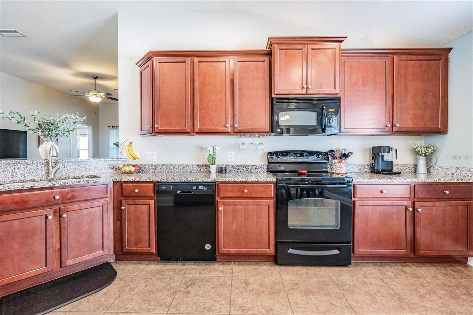 14356 EDINBURGH MOOR DR