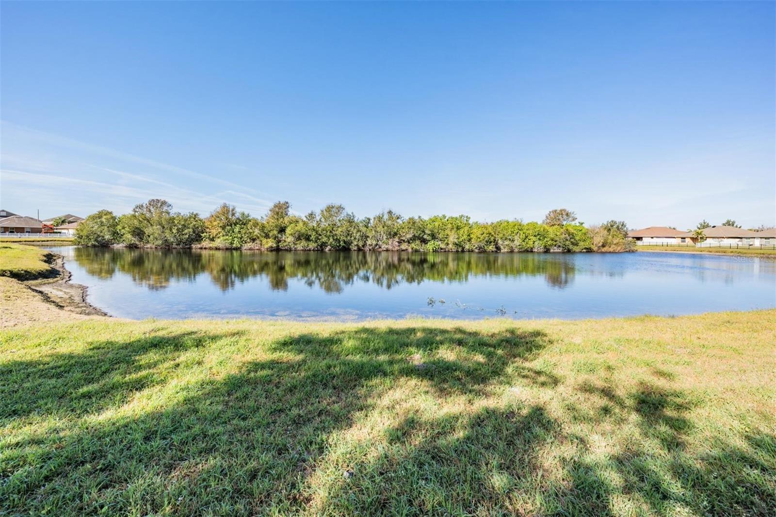 14356 EDINBURGH MOOR DR