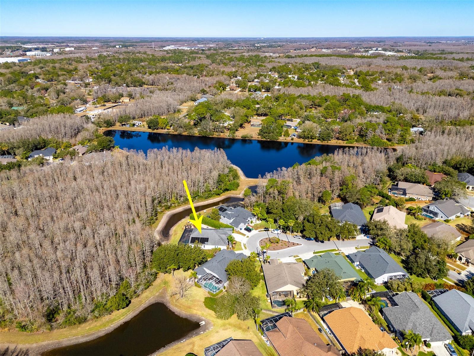 19817 GLAZING GLOBE LN