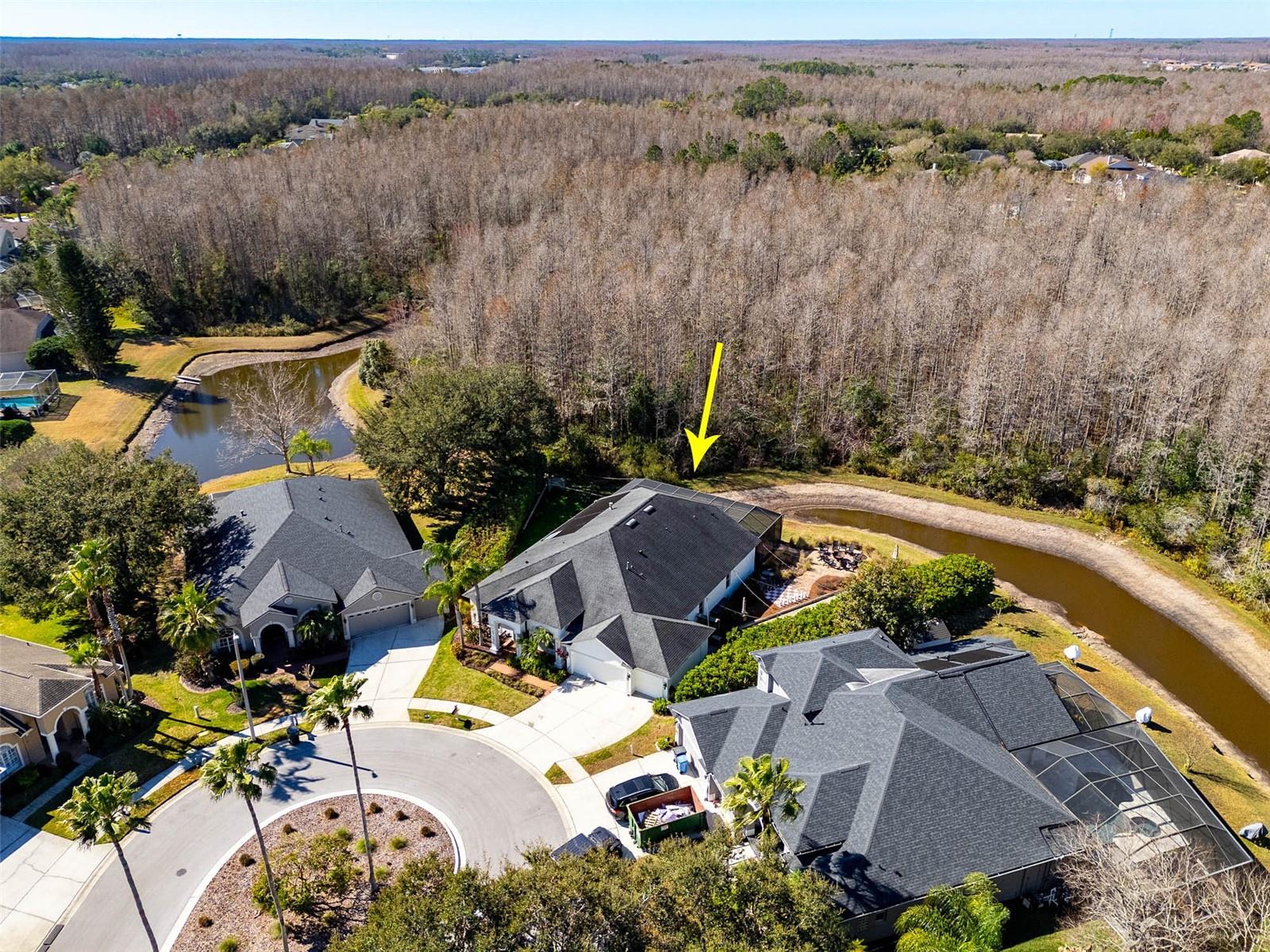 19817 GLAZING GLOBE LN