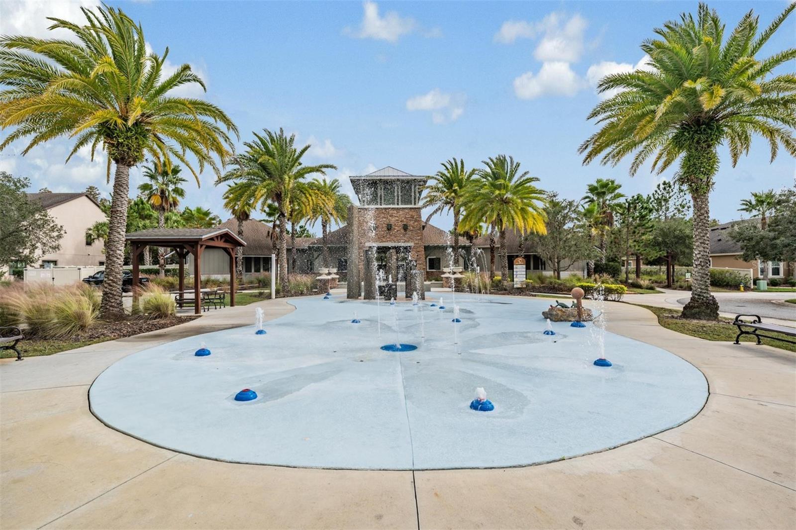 32699 DASHEL PALM LN