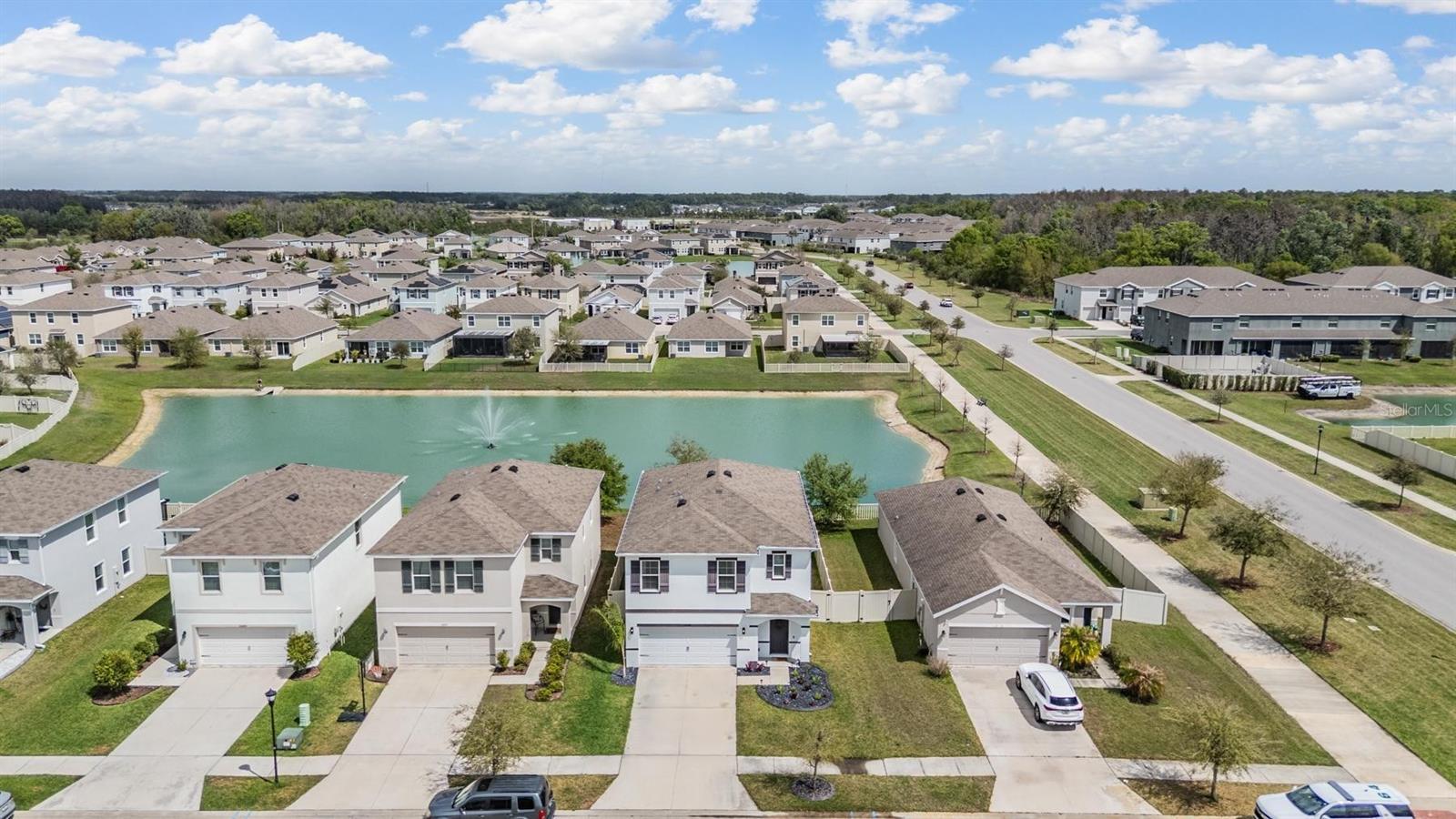 32699 DASHEL PALM LN