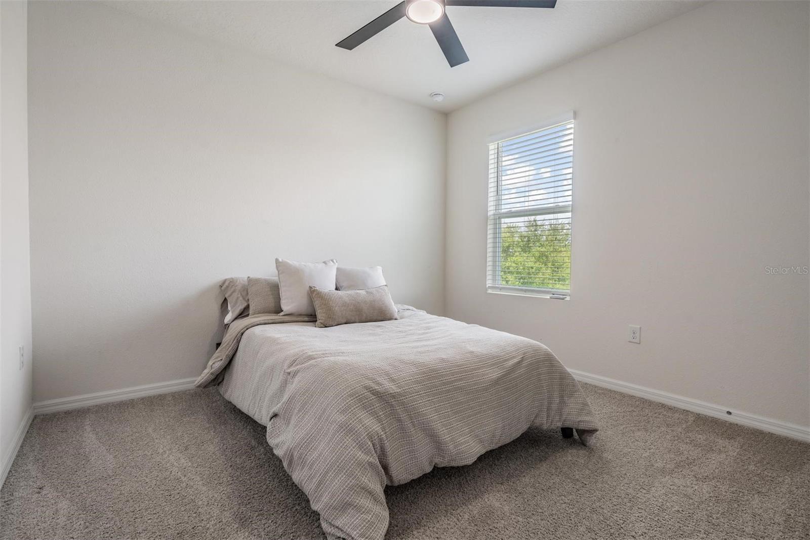 32699 DASHEL PALM LN