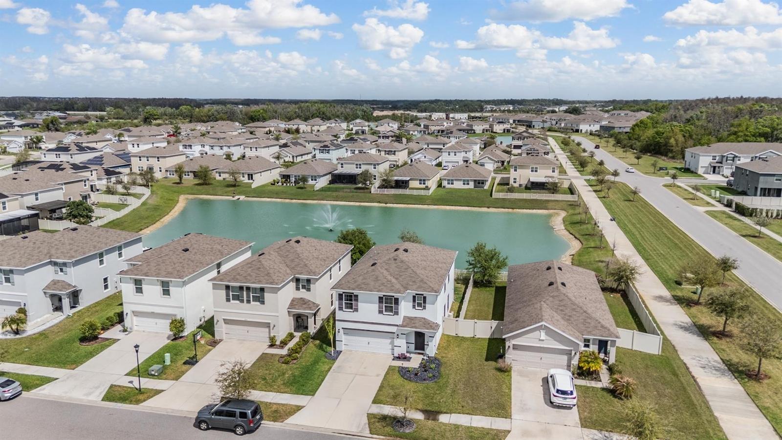 32699 DASHEL PALM LN