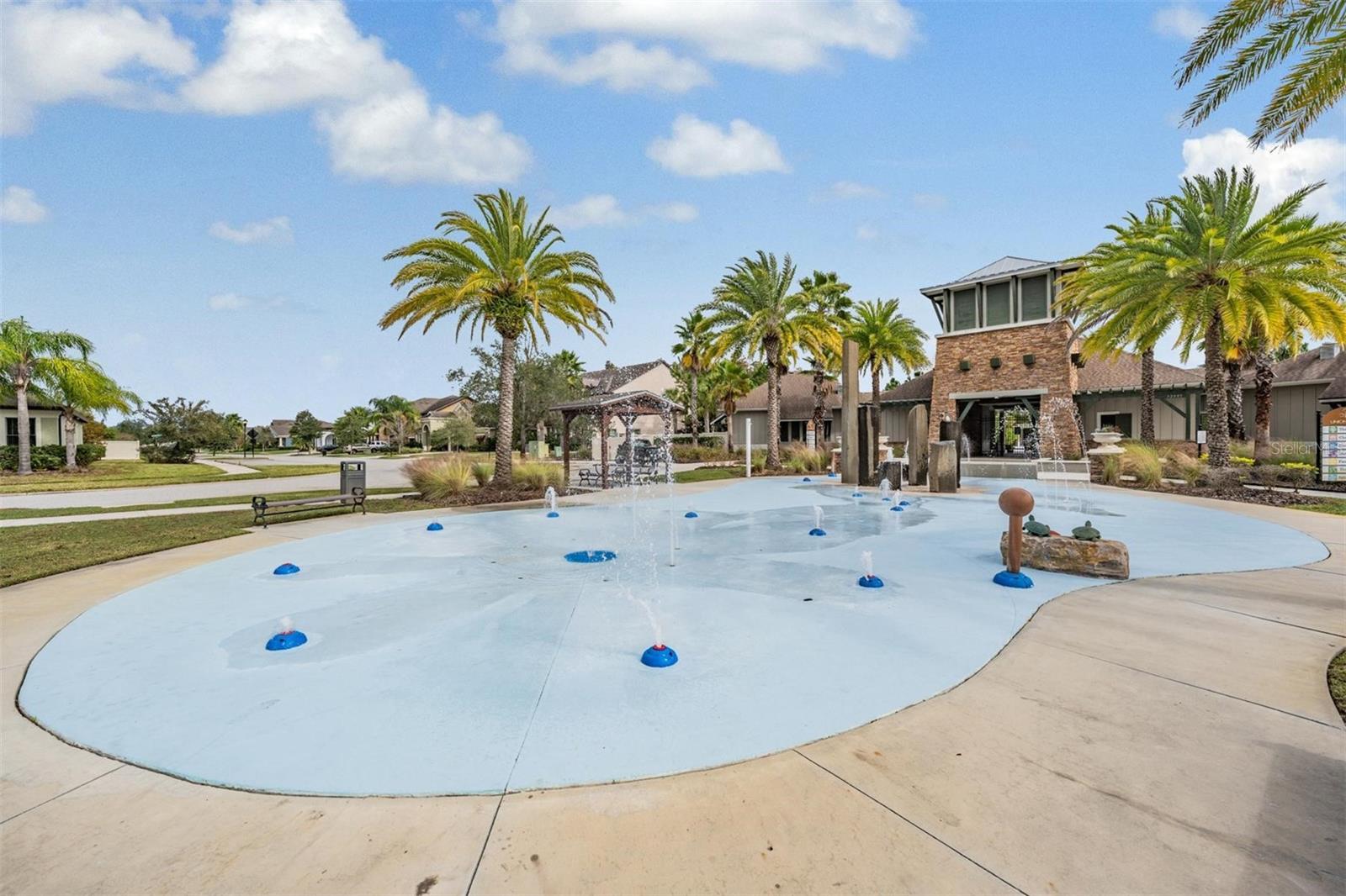 32699 DASHEL PALM LN