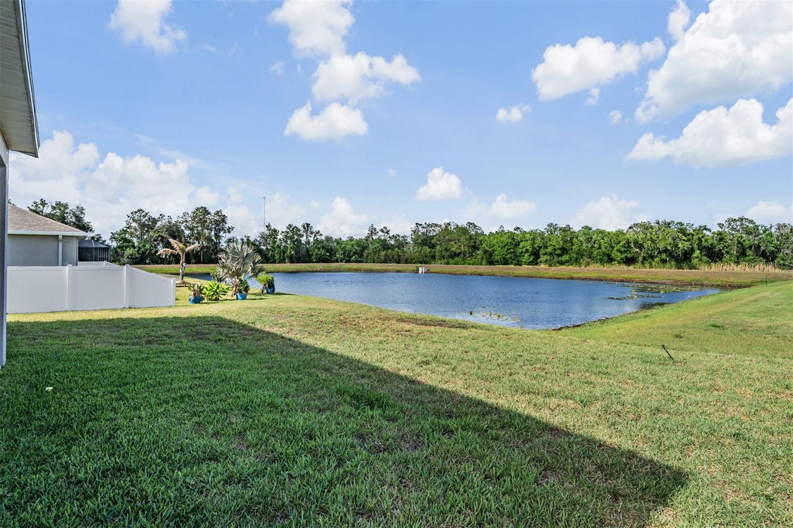 13418 LAKEVIEW OAKS LN