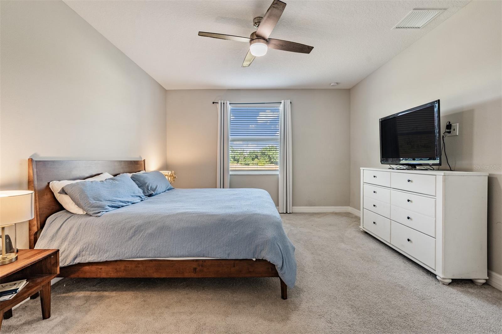 13418 LAKEVIEW OAKS LN