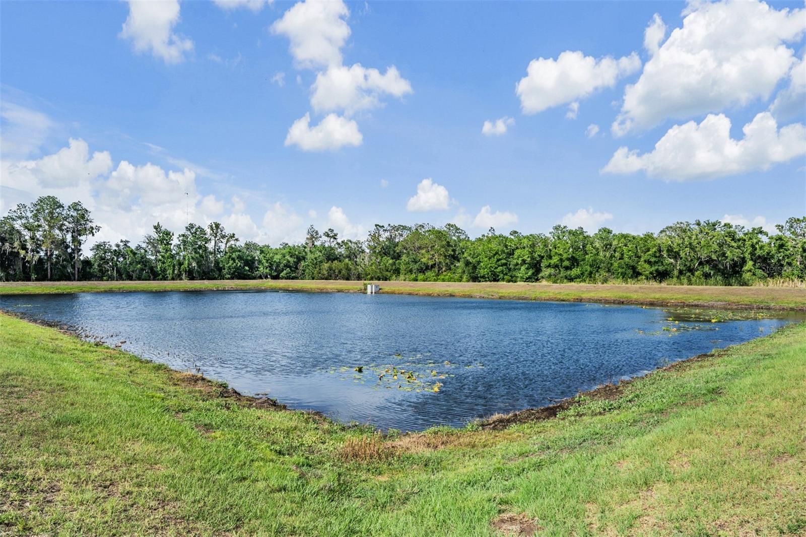 13418 LAKEVIEW OAKS LN