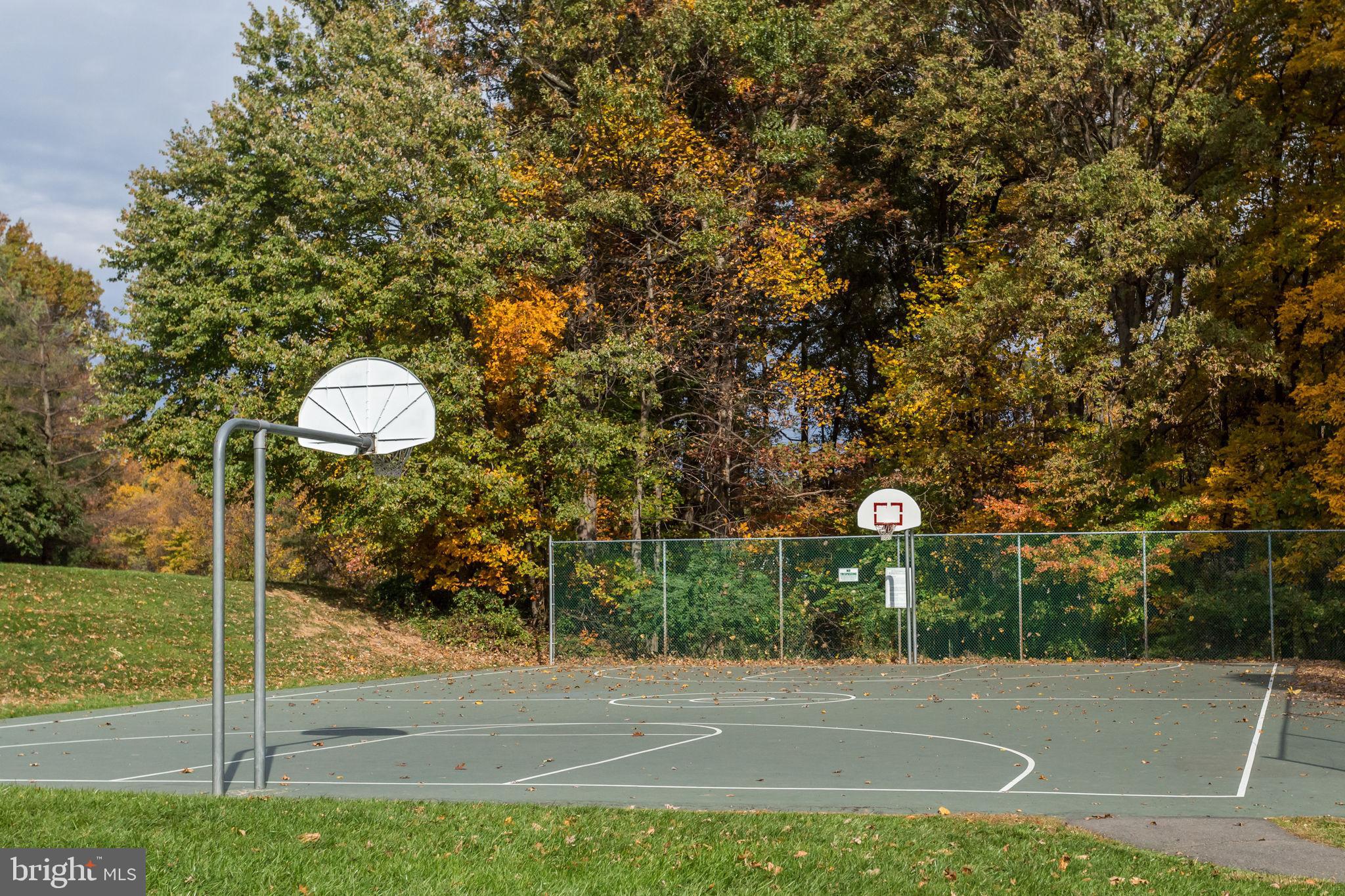 3914 PENDERVIEW DR #523