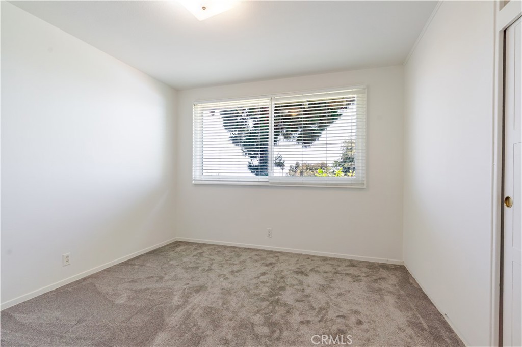 3904 Exultant Drive