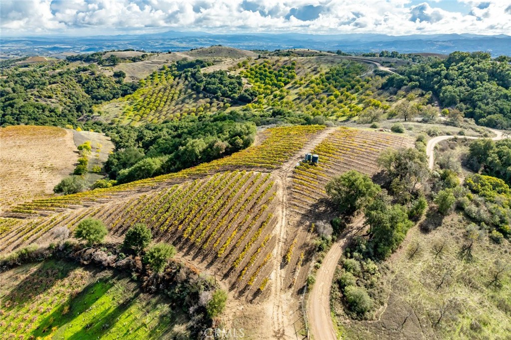0 Peachy Canyon