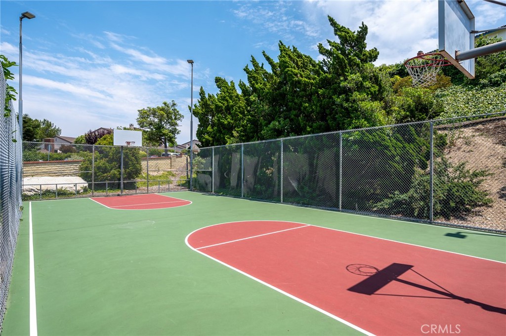 28100 Ridgefern Court 48