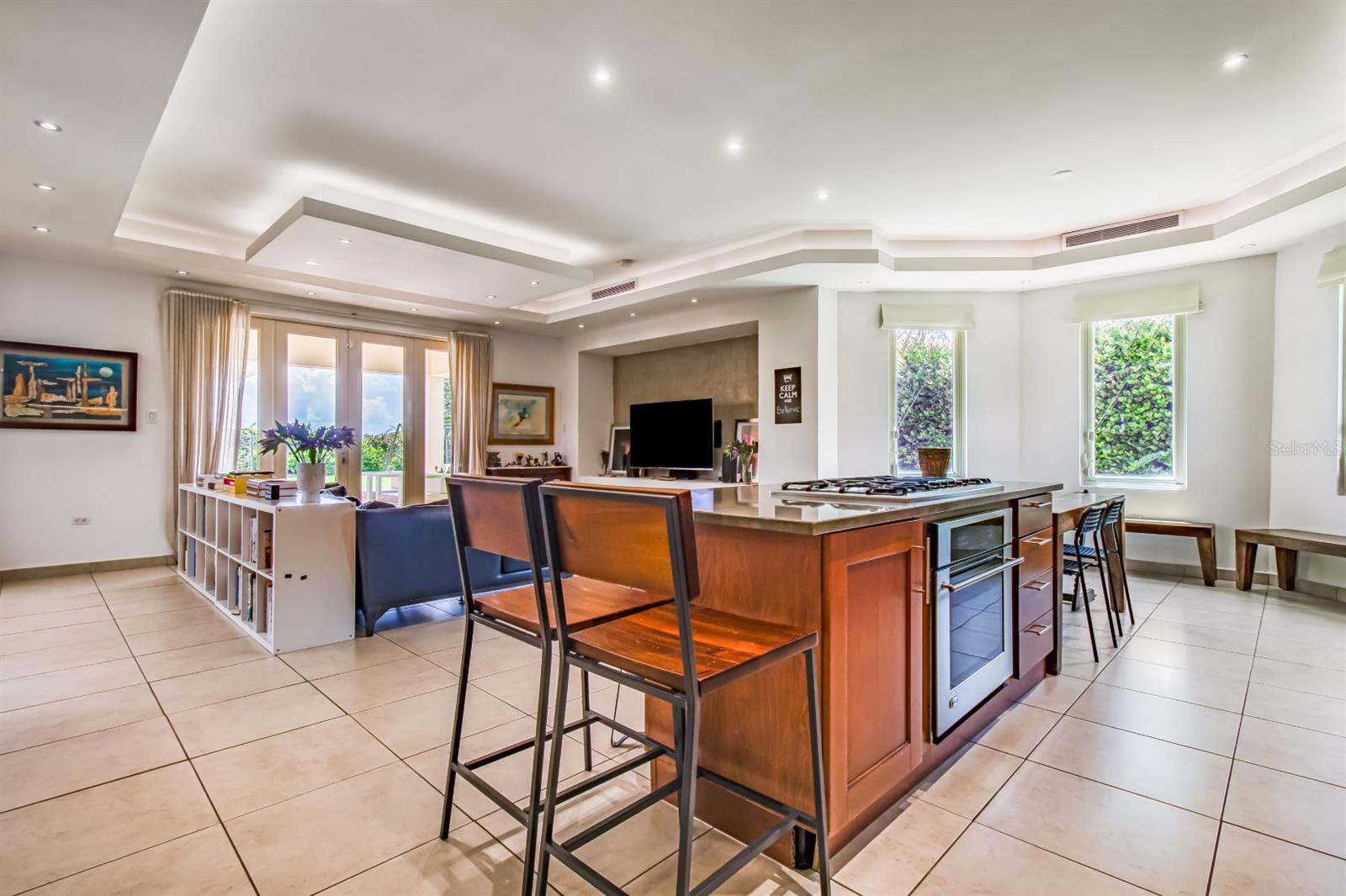 488 CAMINO DEL YUNQUE SABANERA