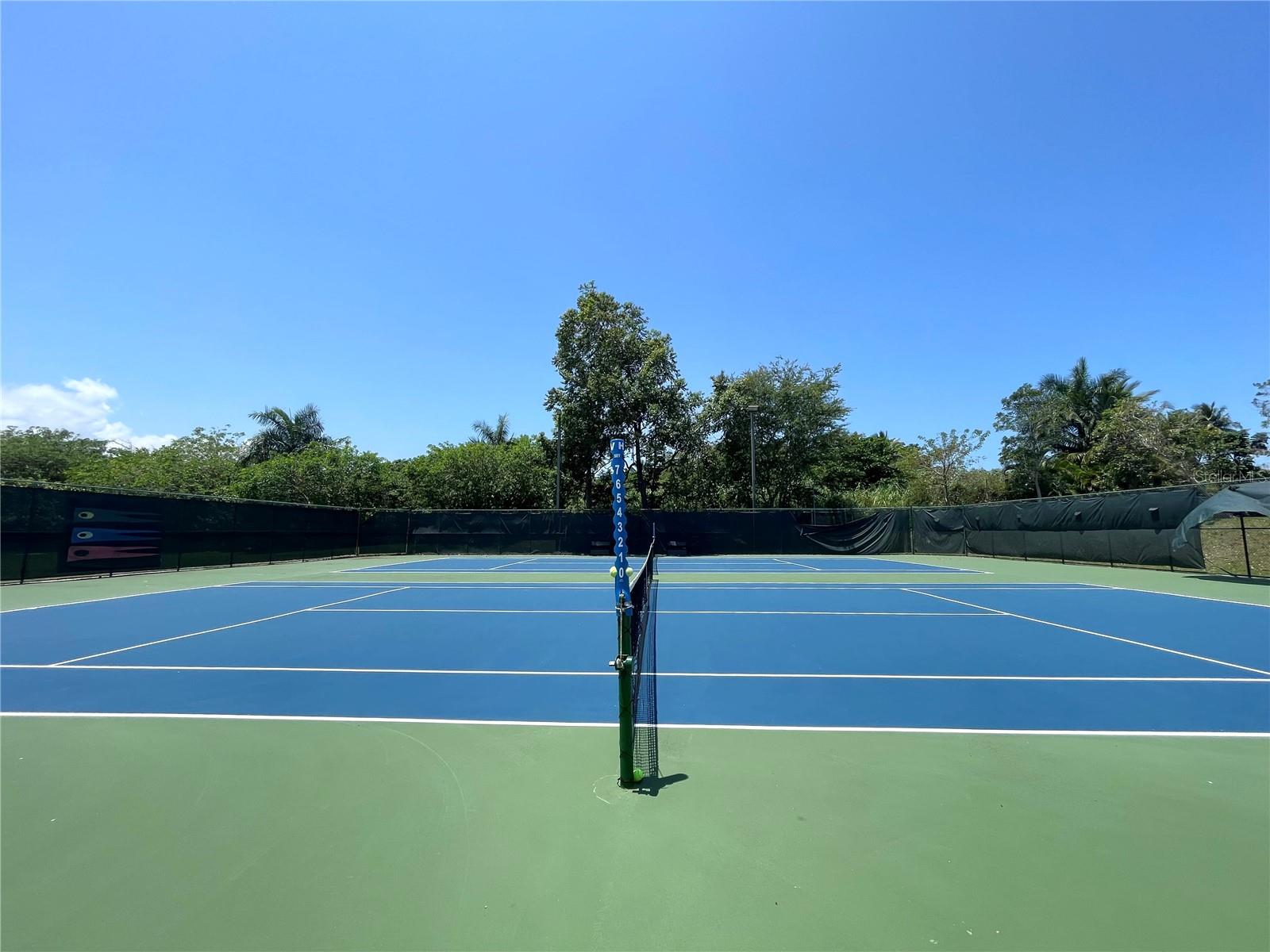 242 NORTH COAST VILLAGE #242