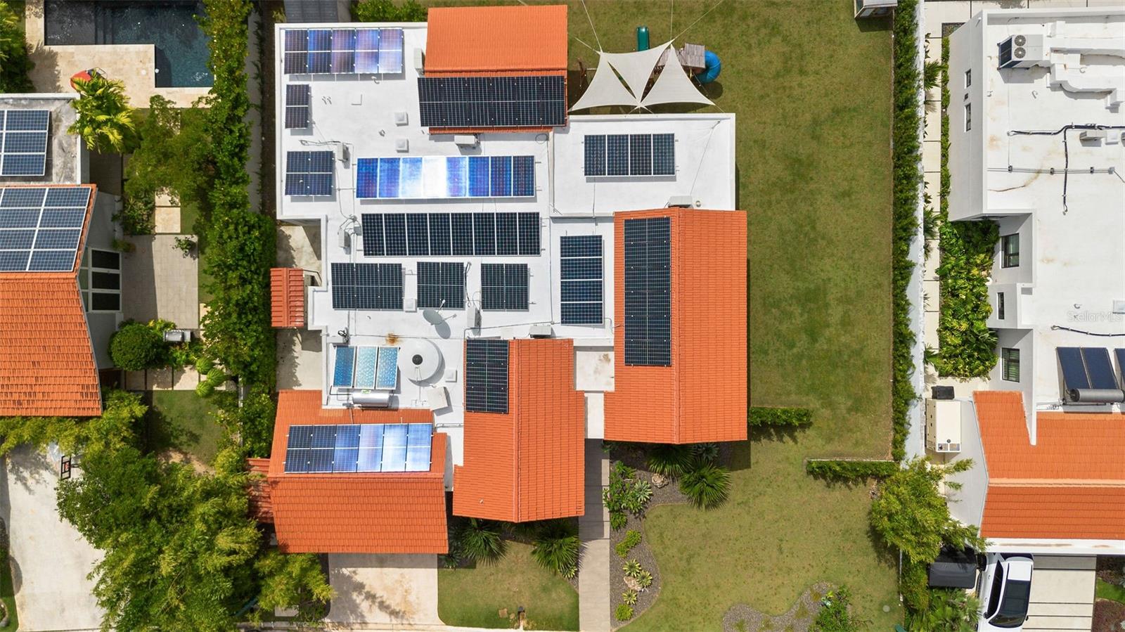 Sabanera Dorado CAMINO DE LA PLATA #607