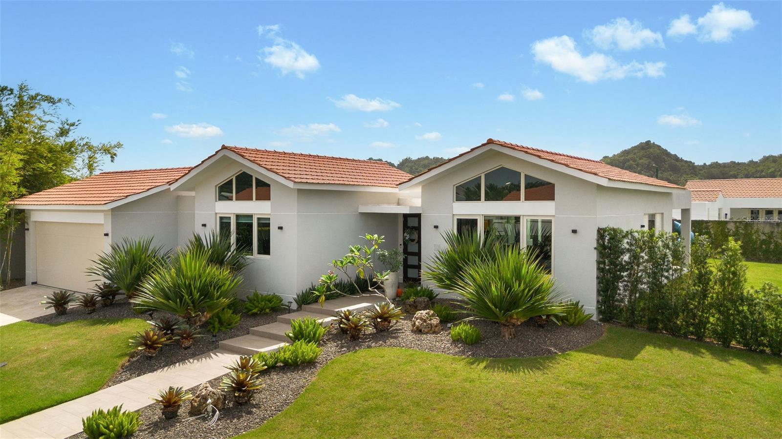 Sabanera Dorado CAMINO DE LA PLATA #607