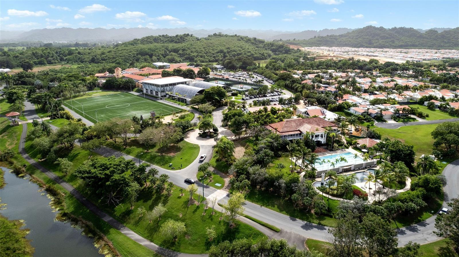 Sabanera Dorado CAMINO DE LA PLATA #607