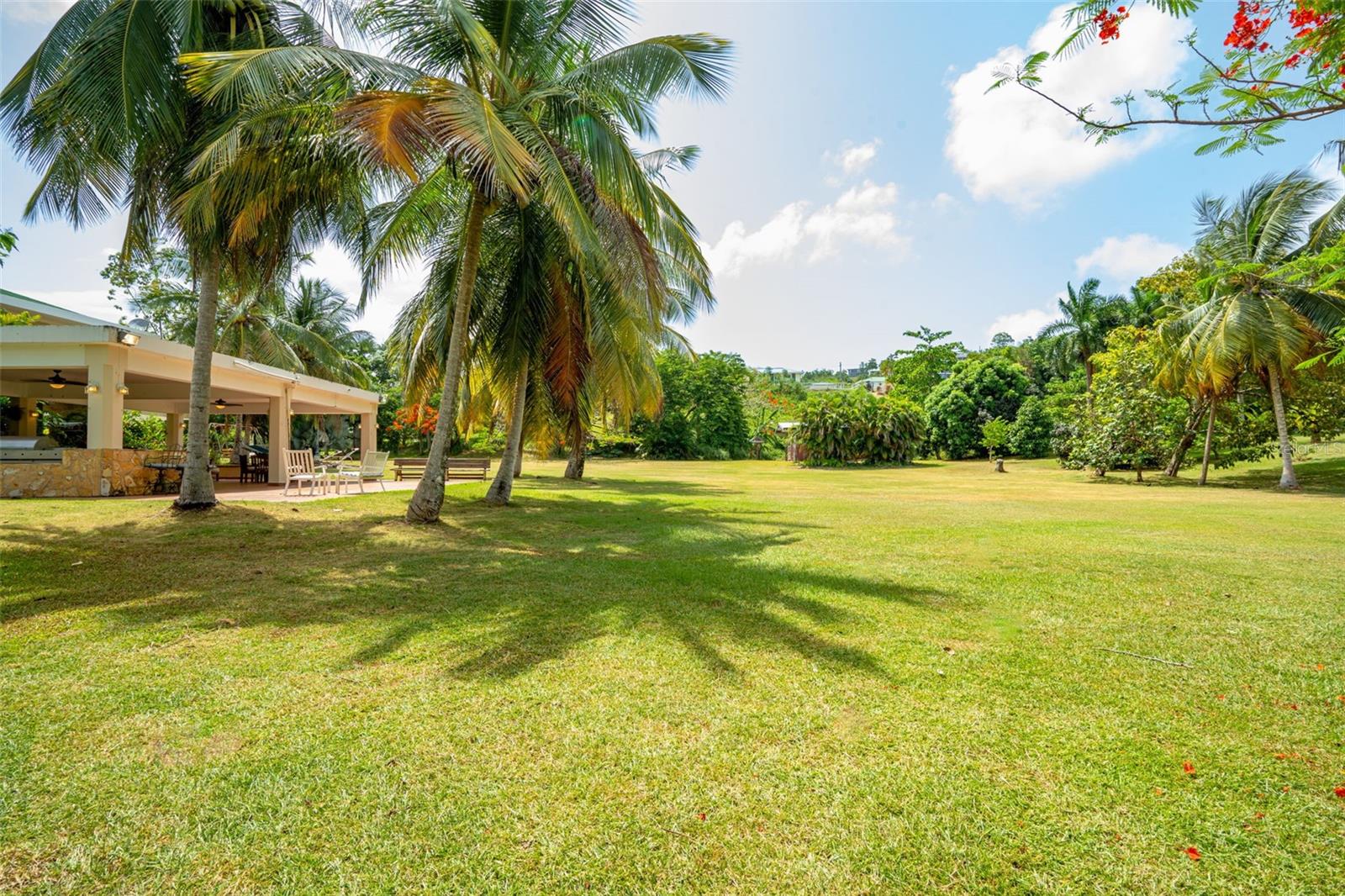 6 HACIENDA MARGARITA