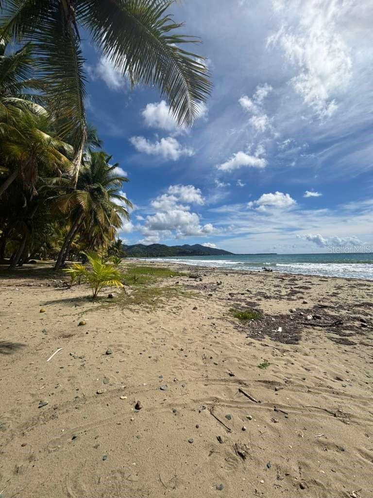 PH 1-A ARROYO BEACH RESORT #PH1-A