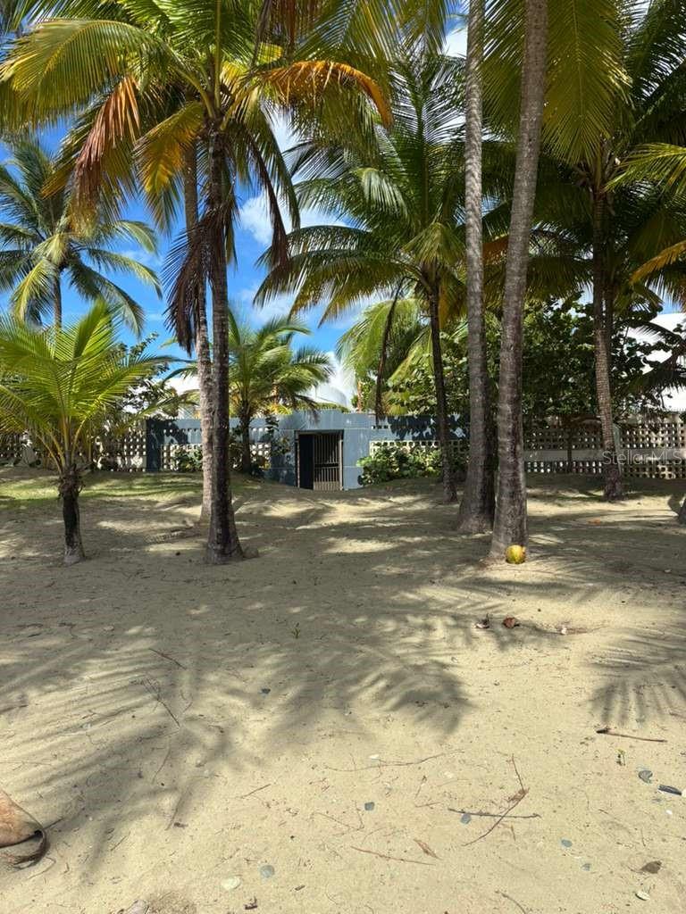 PH 1-A ARROYO BEACH RESORT #PH1-A