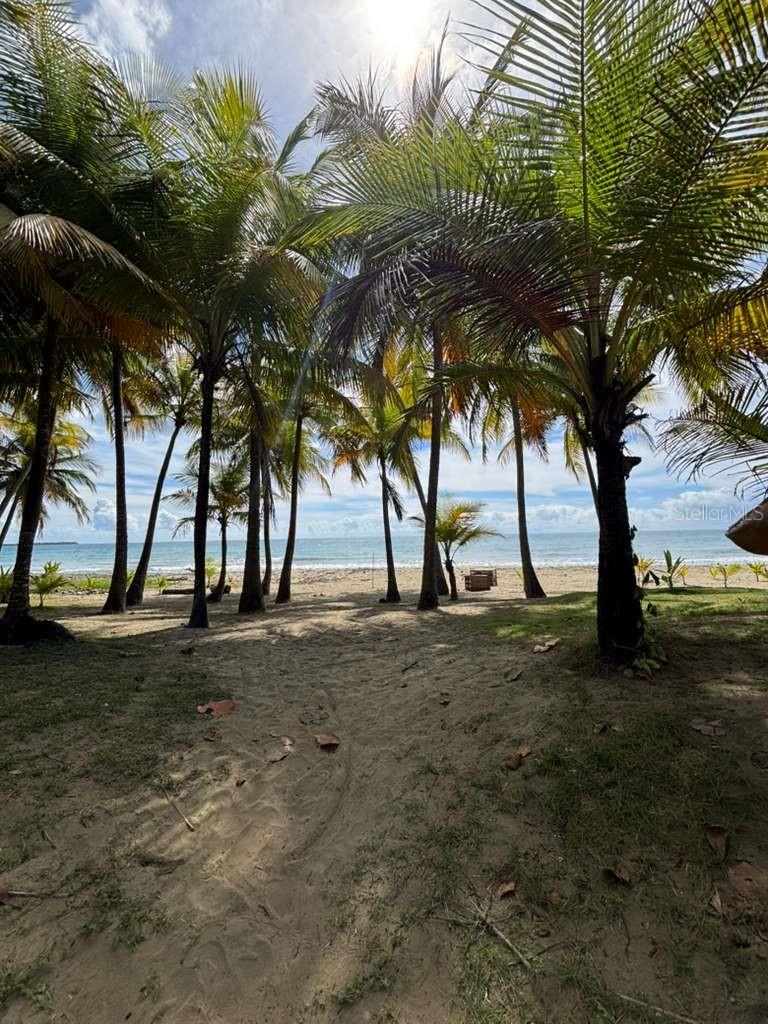 PH 1-A ARROYO BEACH RESORT #PH1-A